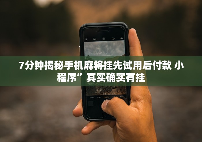 7分钟揭秘手机麻将挂先试用后付款 小程序”其实确实有挂