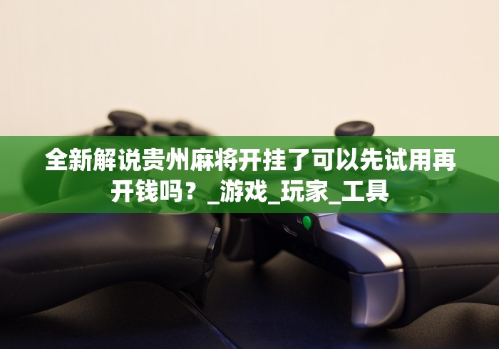 全新解说贵州麻将开挂了可以先试用再开钱吗？_游戏_玩家_工具