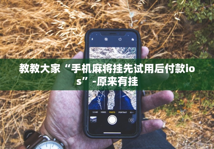 教程开挂辅助:“手机麻将挂神器2025新款{透视辅助}全揭秘