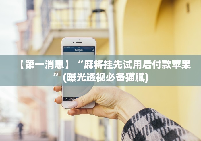 两分钟了解河洛杠次赢多输少技巧”详细外挂辅助详细教程
