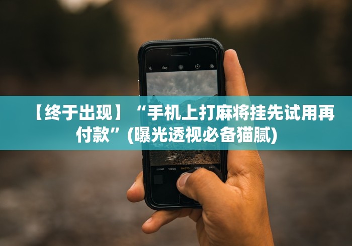 教程解析“途游四川麻将修改器先试用	”其实确实有挂