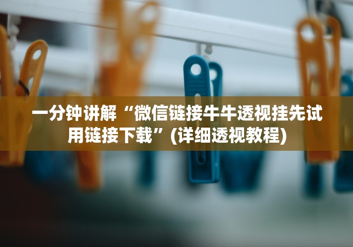 实测辅助“方片十三张透视”真的有挂