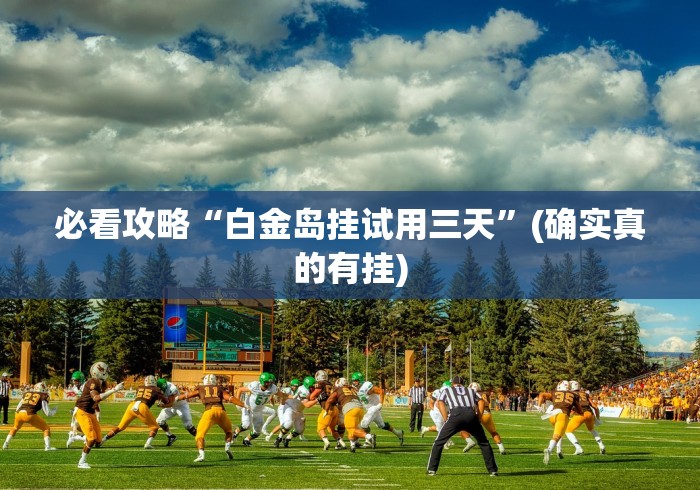 【独家发现】“佛手十三道有挂吗!详细分享装挂步骤 【独家发现】“佛手十三道有挂吗!详细分享装挂步骤