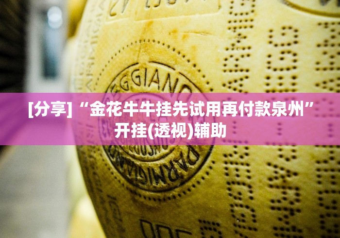 玩家辅助神器“小程序麻将怎样才能赢”作弊挂(辅助外挂+