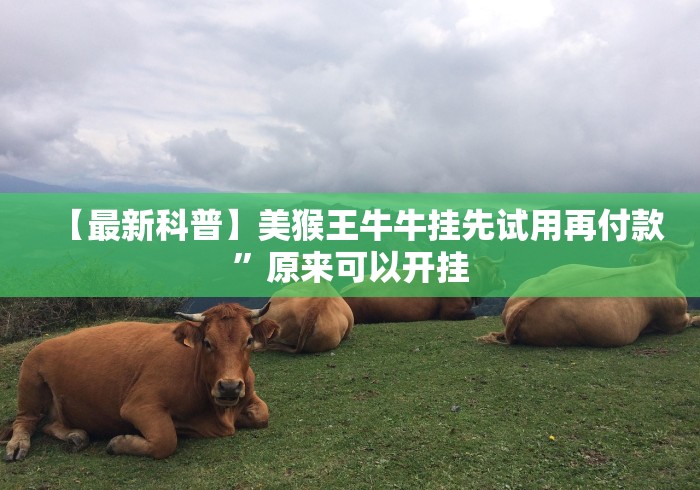 今日分享“微信跑得快如何一直好牌	”真的有挂