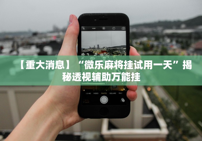 【手机麻将挂】十三道必胜摆法图解”科技辅助神器手机版教程