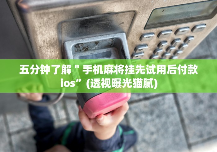一分钟讲解“网络十三水怎么刷好牌	”其实确实有挂