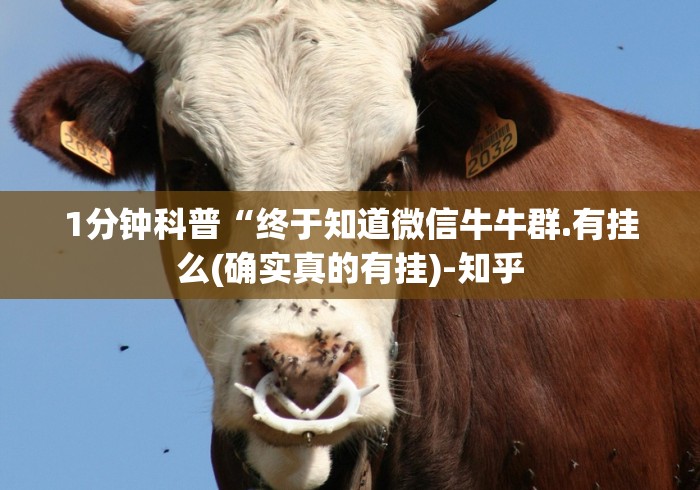 【出现一款新型】“十三道必胜摆法	”开挂安装教程