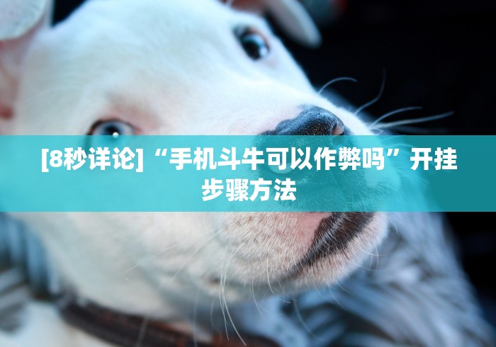 一分钟讲解“多乐跑胡子作弊辅助”(透视曝光猫腻)