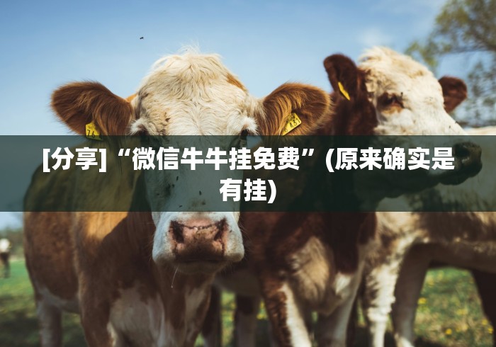 一分钟讲解“多乐跑胡子作弊辅助	”(透视曝光猫腻)