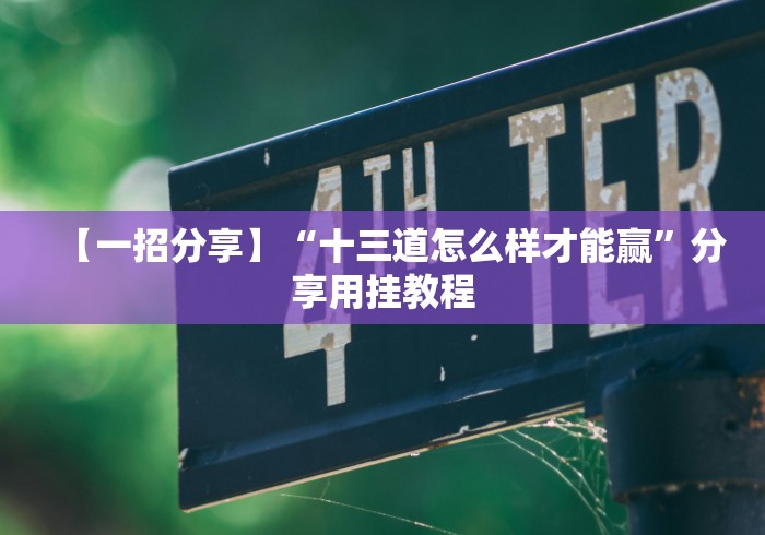 【一招分享】“十三道怎么样才能赢	”分享用挂教程