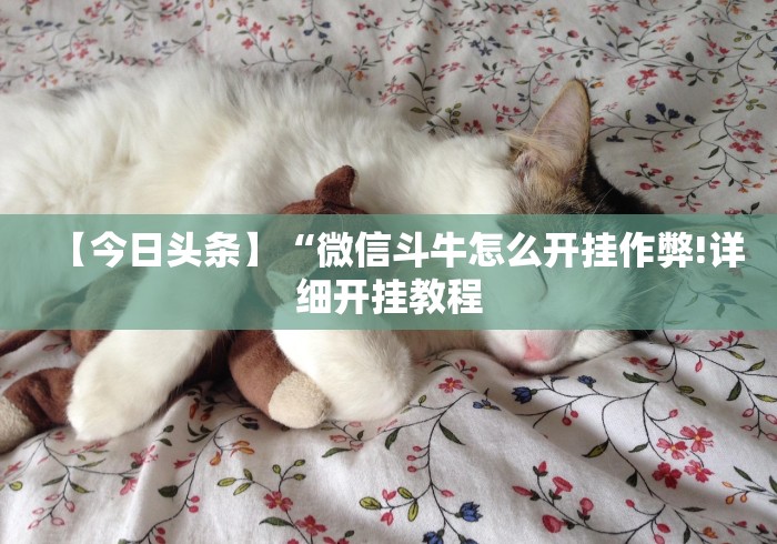 【重大消息】“决战十三水开挂神器	”附开挂脚本