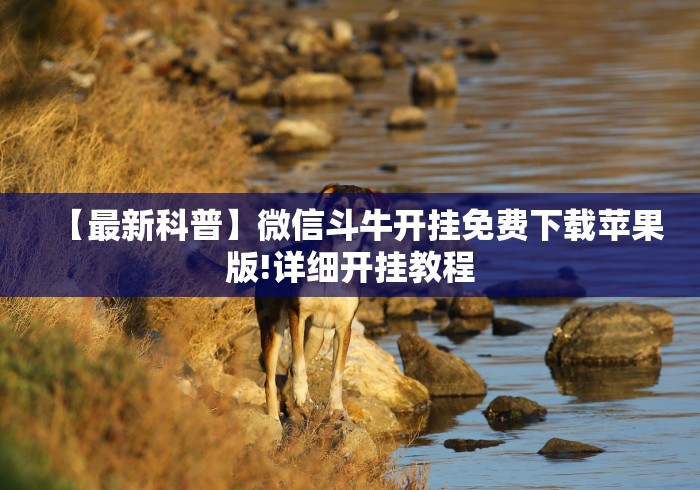 【第一资讯】“皮皮跑胡子开挂免费软件下载苹果版”详细外挂辅助详细教程