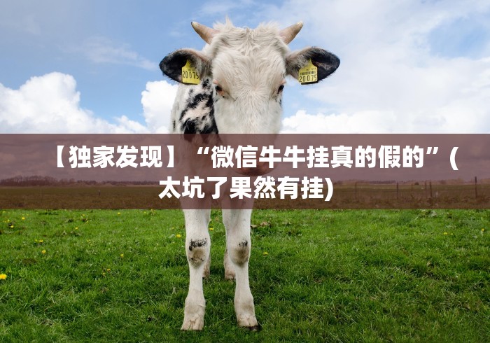 【独家发现】“微信牛牛挂真的假的”(太坑了果然有挂)