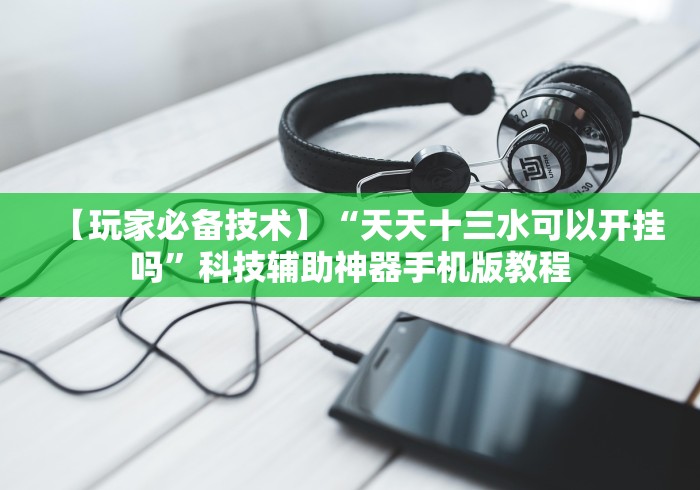 必备教程“鸿运十三张辅助开挂”通用版下载教程!