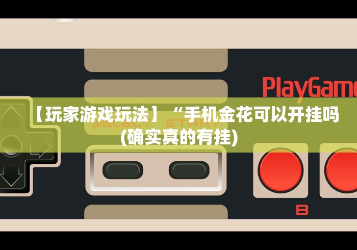 【总结文章“拼三张通用版辅助器”详细外挂安装步骤