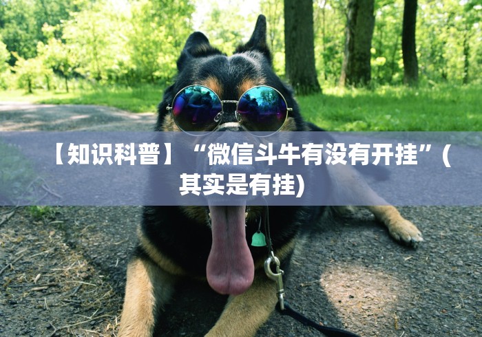 必备教程“手机十三张开挂”-开挂神器-包教包会