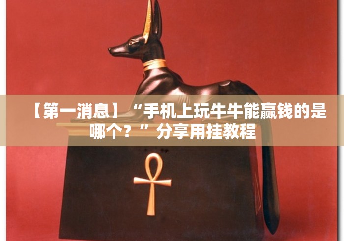 【第一消息】“手机上玩牛牛能赢钱的是哪个？	”分享用挂教程