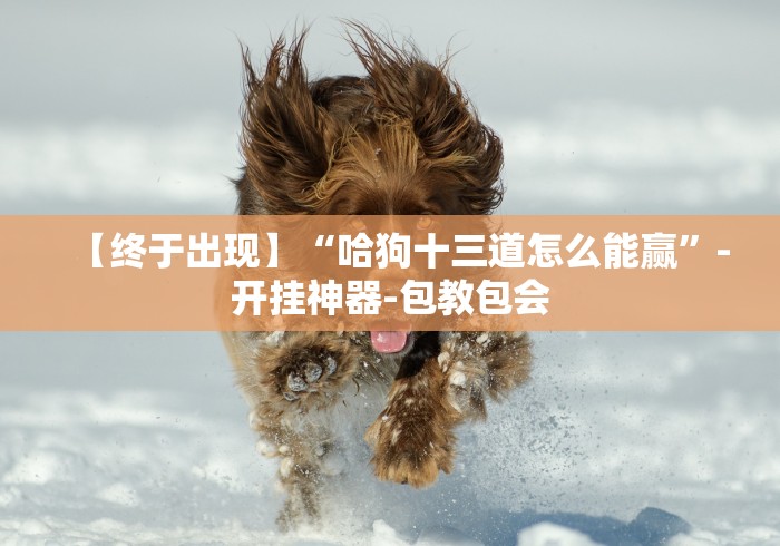 【给大家科普一下】“微乐填大坑输赢规律”详细开挂玩法
