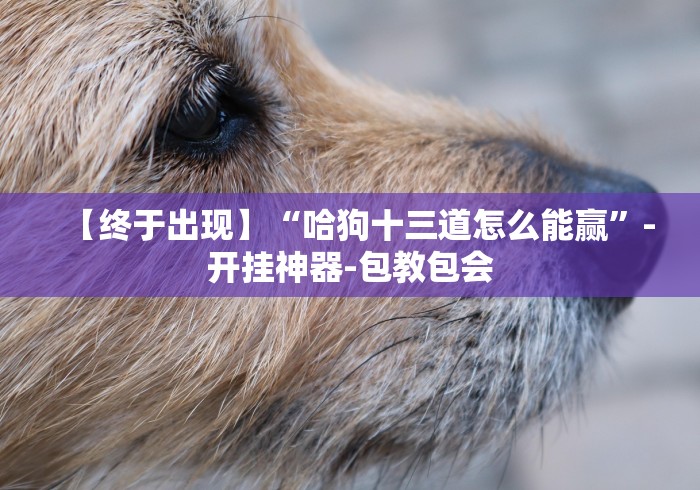 【技术分享】“微信财神十三张小程序如何赢分”开挂(透视)辅助教程