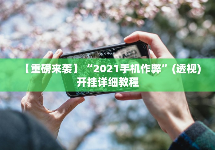 一分钟讲解“金花三张牌技巧视频”作弊挂(辅助外挂+教程)