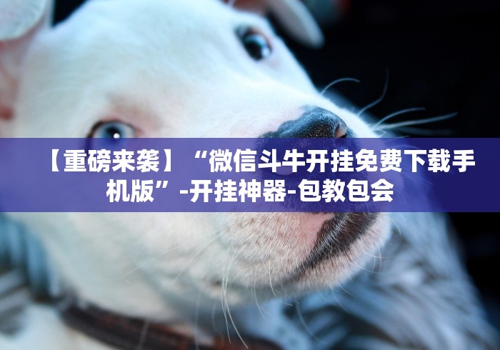 实测工具“微乐刨幺填大坑透视苹果”作弊挂(辅助外挂+教程)