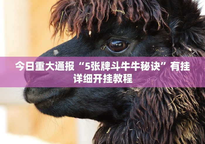 【玩家必看】“微信链接斗牛有没有挂”-揭秘开挂教程分享