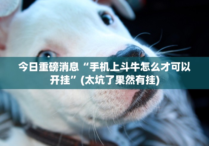 今日重磅消息“手机上斗牛怎么才可以开挂”(太坑了果然有挂)