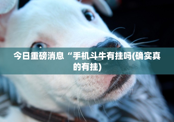 4分钟讲解"皖南三加一麻将有挂吗(详细真的有挂)-知乎 4分钟讲解"皖南三加一麻将有挂吗(详细真的有挂)-知乎