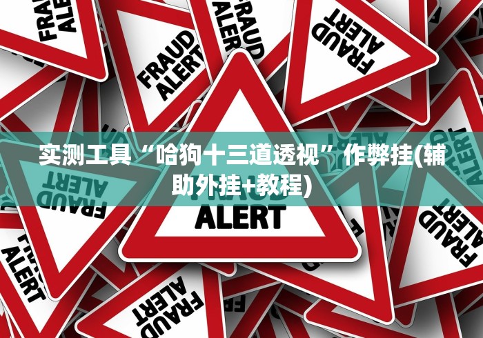 实测工具“哈狗十三道透视	”作弊挂(辅助外挂+教程)
