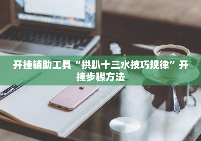 开挂辅助工具“拱趴十三水技巧规律”开挂步骤方法
