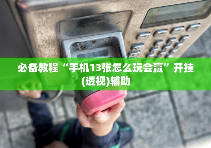 2026玩家推荐:填大坑挂试用3天”详细分享装挂步骤教程