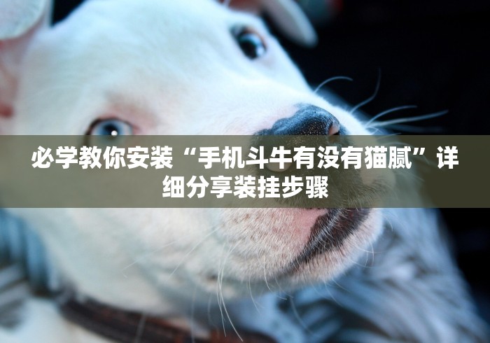 【最新科普】河洛杠次怎么赢”(原来确实是有插件)