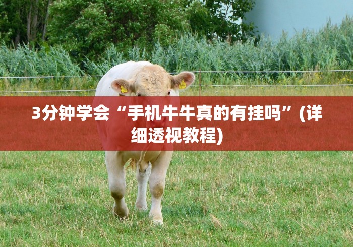 专家分析“2021红包埋雷挂	”(详细透视教程)-知乎