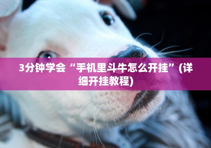 【最新科普】上品13水连续输2千多水”-原来有挂