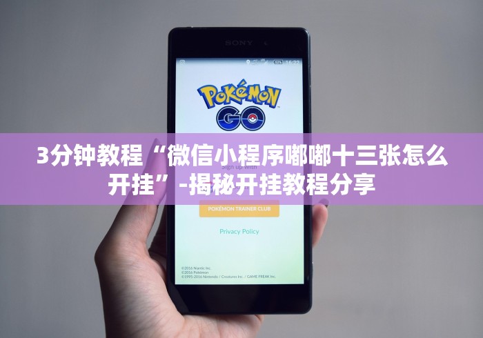 3分钟教程“微信小程序嘟嘟十三张怎么开挂”-揭秘开挂教程分享