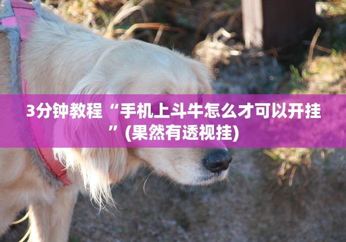 可用版本“微乐麻将三丁拐技巧”通用版下载教程