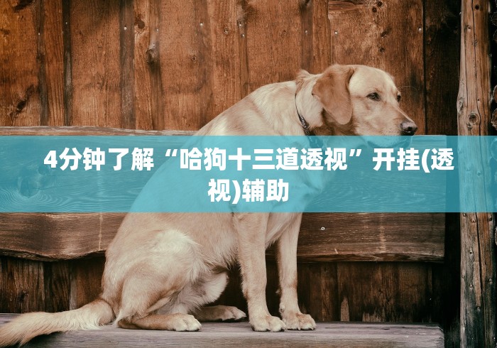 4分钟了解“哈狗十三道透视”开挂(透视)辅助