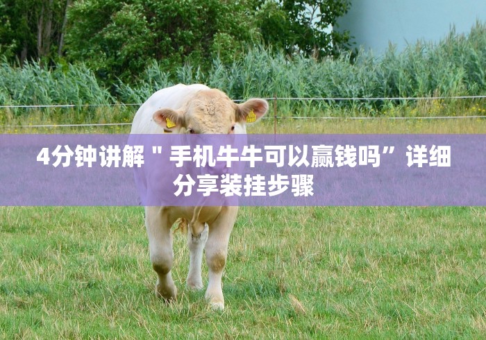 科普一下星悦陕西麻将挂先试用再付款	”(透视)其实确实有挂