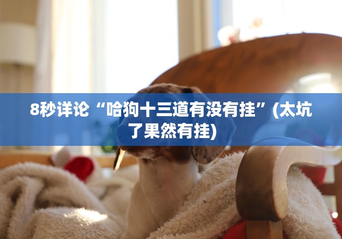 8秒详论“哈狗十三道有没有挂”(太坑了果然有挂)