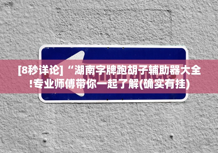 [分享]“手机上玩十三道如何才能赢”揭秘透视辅助万能挂
