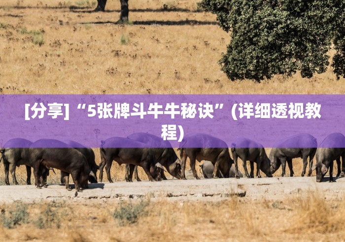 【玩家必看】“手机斗牛技巧视频教程”附开挂脚本