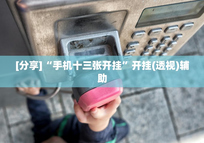 [分享]“手机十三张开挂	”开挂(透视)辅助