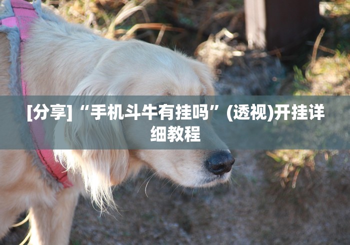 [分享]“手机斗牛有挂吗”(透视)开挂详细教程