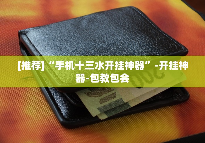 [推荐]“手机十三水开挂神器”-开挂神器-包教包会
