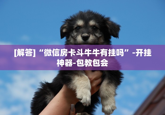 [分析]“微乐春天扑克怎么提高胜率”辅助挂下载	”(最新开挂教程)