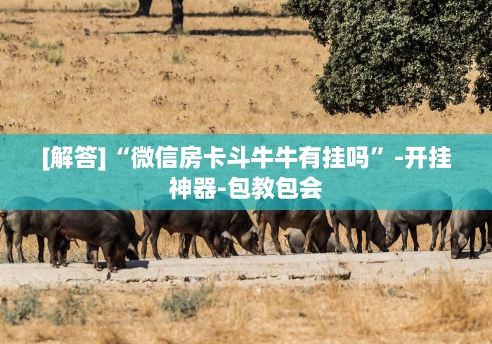 今日重大通报“微信链接打牌怎么开挂!分享用挂教程 今日重大通报“微信链接打牌怎么开挂!分享用挂教程