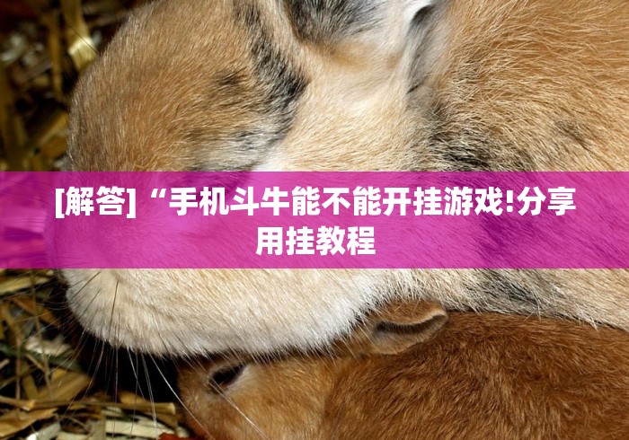 【出现一款新型】“十三水怎么赢钱”-开挂神器-包教包会