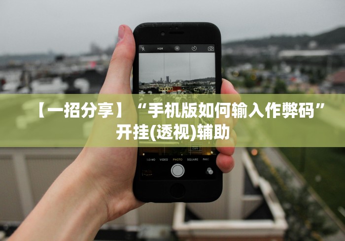 【一招分享】“手机版如何输入作弊码	”开挂(透视)辅助