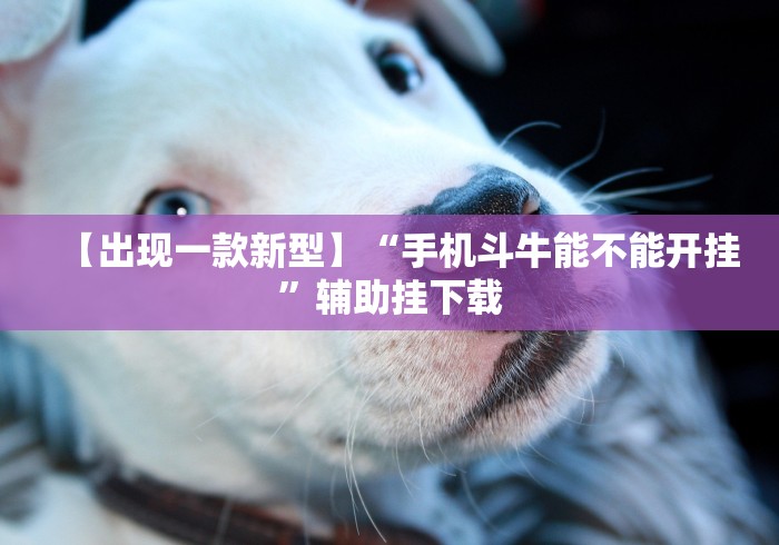 【出现一款新型】“手机斗牛能不能开挂	”辅助挂下载